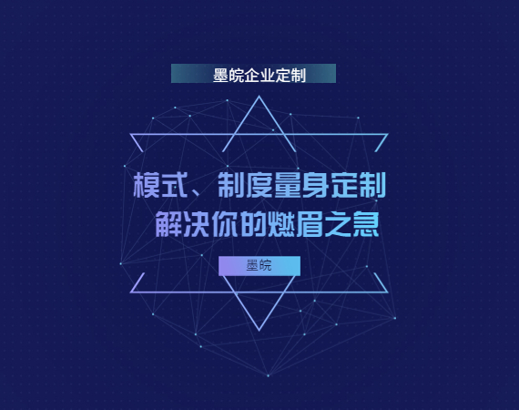 企业制度定制